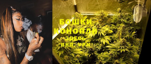 ГАЛЛЮЦИНОГЕННЫЕ ГРИБЫ Алзамай