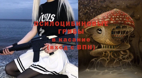 ГАЛЛЮЦИНОГЕННЫЕ ГРИБЫ Алзамай