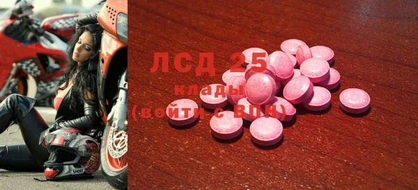 ГАЛЛЮЦИНОГЕННЫЕ ГРИБЫ Алзамай