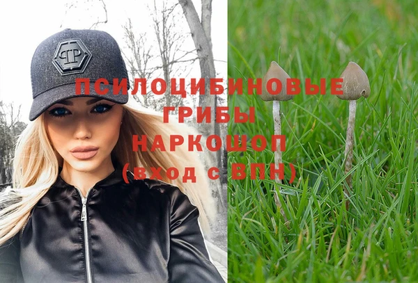 прущие крисы Алексин