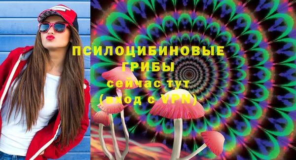ГАЛЛЮЦИНОГЕННЫЕ ГРИБЫ Алзамай