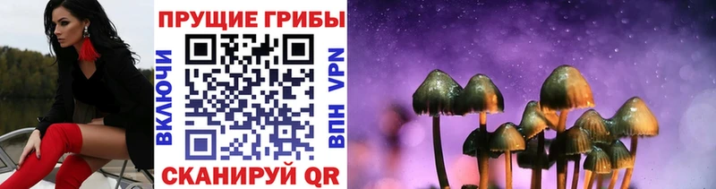 Псилоцибиновые грибы GOLDEN TEACHER  где найти   Анива 